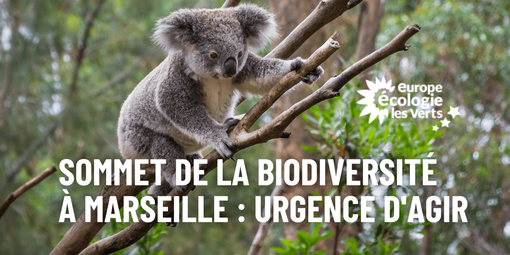 Sommet de la biodiversité à Marseille : l’urgence d’agir