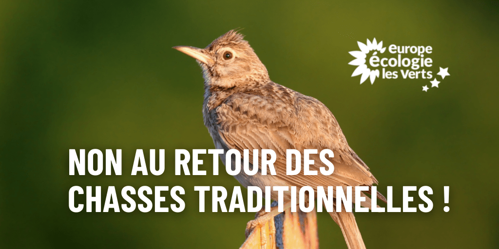 Chasses traditionnelles : stop au clientélisme !