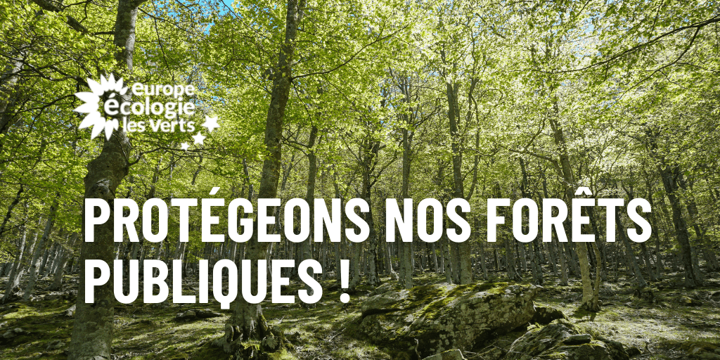 Protégeons nos forêts publiques !