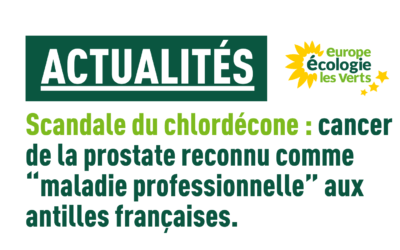 Scandale du chlordécone