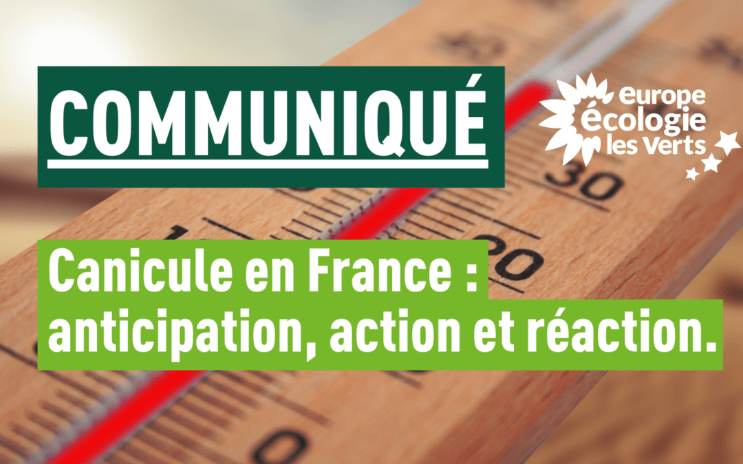 Canicule en France : anticipation, action et réaction.