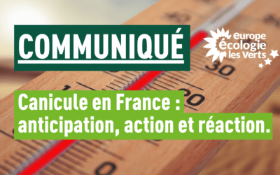 Canicule en France : anticipation, action et réaction.