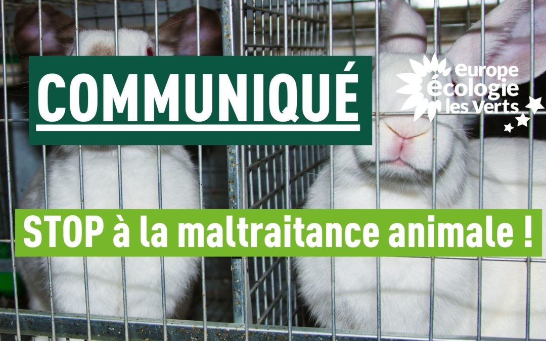 STOP à la maltraitance animale