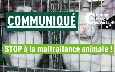 STOP à la maltraitance animale