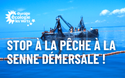 Stop à la pêche à la senne démersale !