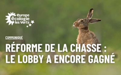 Réforme de la chasse : le lobby a encore gagné