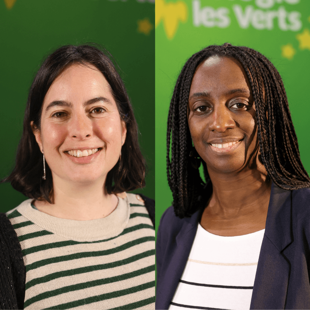 Instagram Divers (53) Eva Sas et Alain Coulombel, porte-paroles EELV