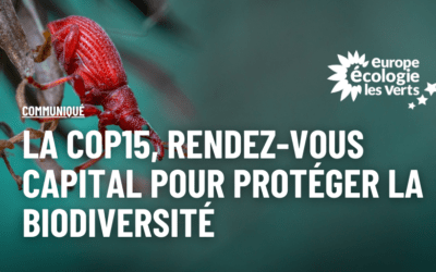 La COP 15, rendez-vous capital pour protéger la biodiversité