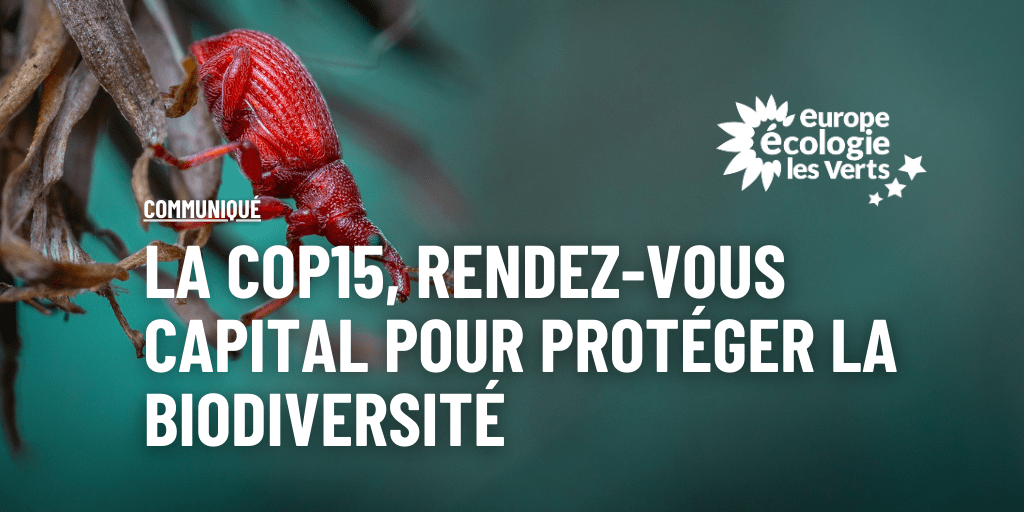 La COP 15, rendez-vous capital pour protéger la biodiversité
