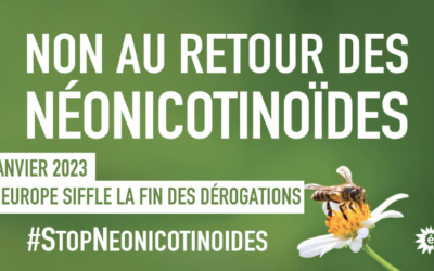 Néonicotinoïdes : Victoire ! L’Europe siffle la fin des dérogations