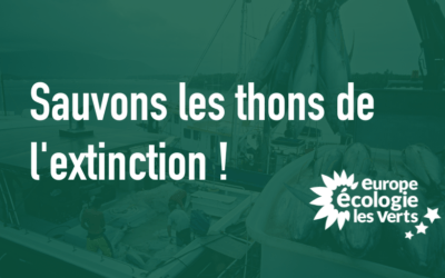 Sauvons les thons de l’extinction !