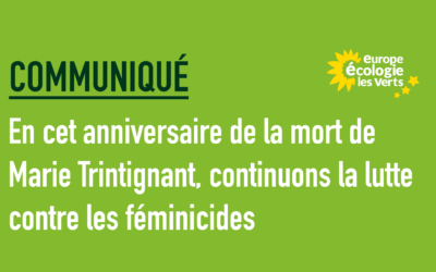 En cet anniversaire de la mort de Marie Trintignant, continuons la lutte contre les féminicides